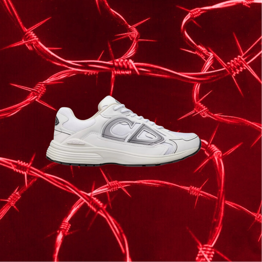 Dior B30