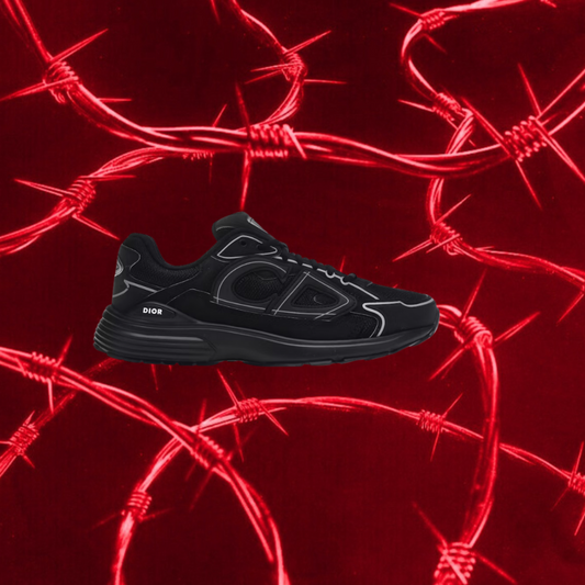 Dior B30