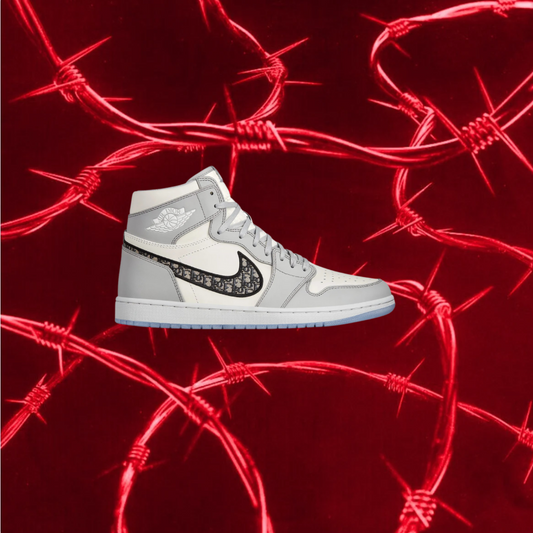 Jordan 1s X Dior